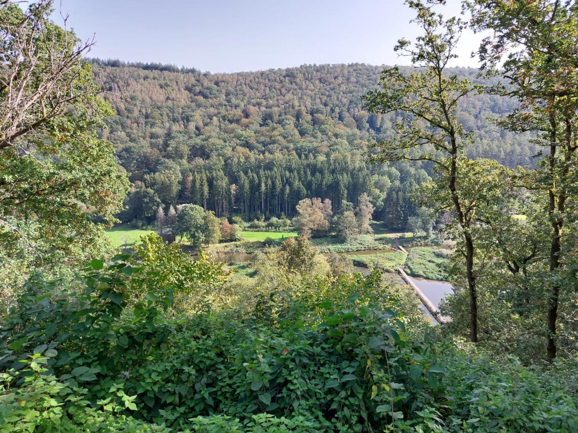 Les 3 Freres : Plain-Pied En Pleine Nature Vresse-sur-Semois Kültér fotó